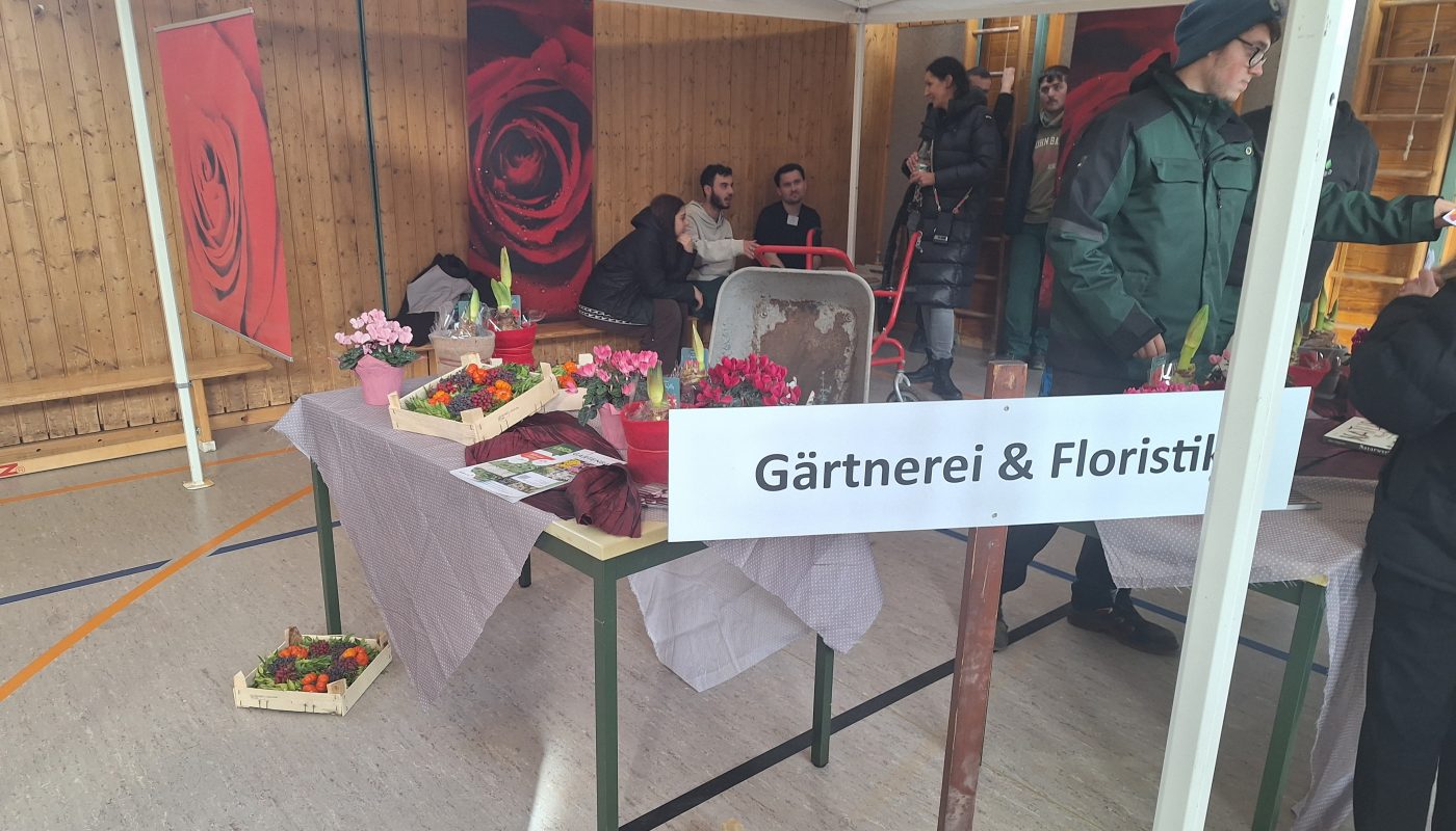 9er entdecken Berufe in Mariaberg