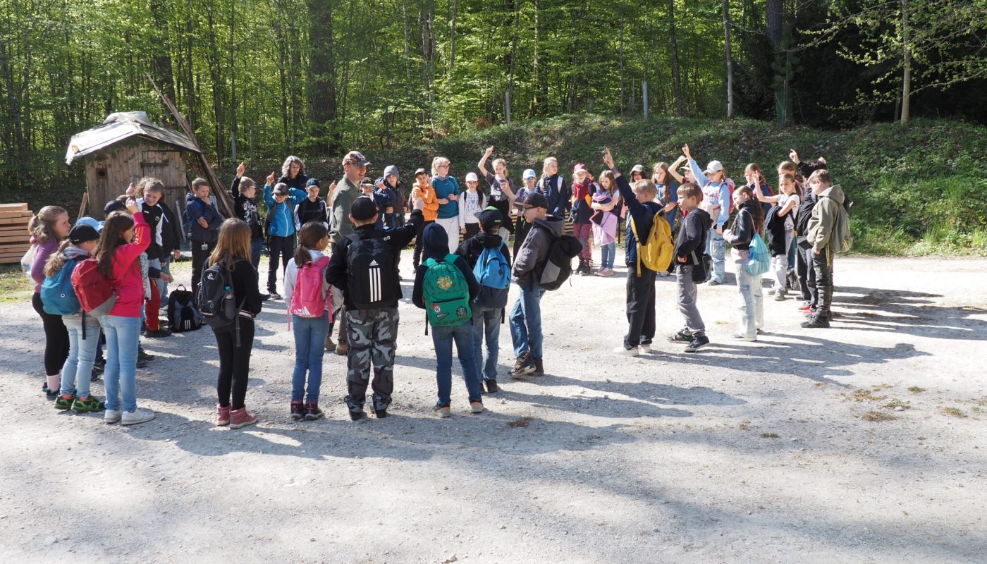 Waldtag der vierten Klassen
